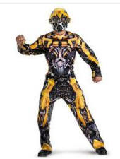 Bumble Bee Transformer